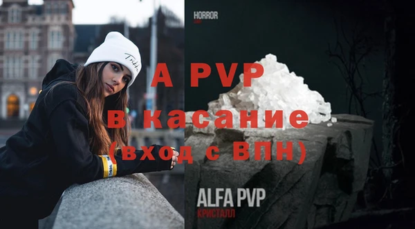 МДПВ Ельня