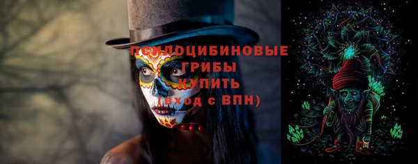 эйфоретик Фёдоровский