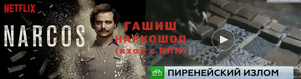 PSILOCYBIN Заводоуковск
