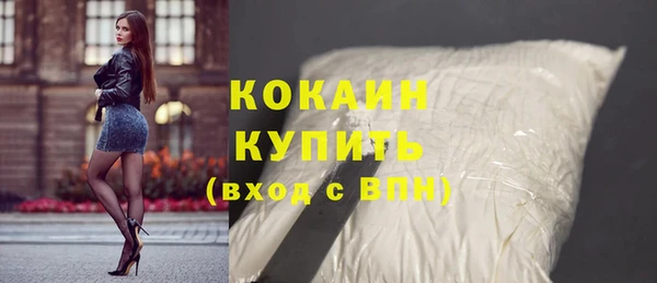 МДПВ Ельня