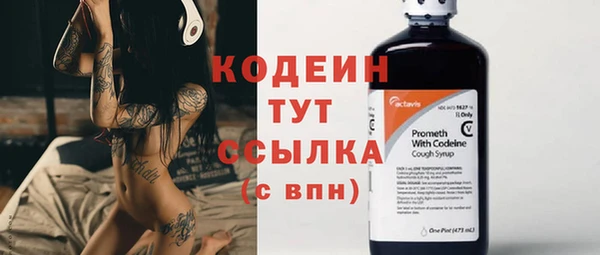 PSILOCYBIN Заводоуковск