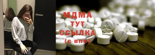 PSILOCYBIN Заводоуковск