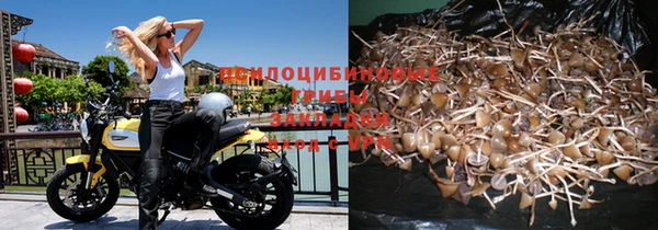 метамфетамин Дмитриев