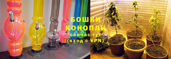 PSILOCYBIN Заводоуковск