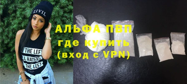 PSILOCYBIN Заводоуковск