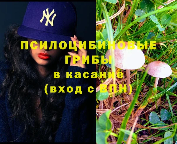 герыч Елизово