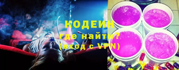 МДПВ Ельня
