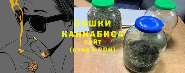 PSILOCYBIN Заводоуковск