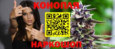 Альфа ПВП Заволжье