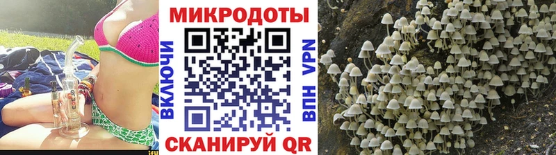 Псилоцибиновые грибы Magic Shrooms  Свободный 