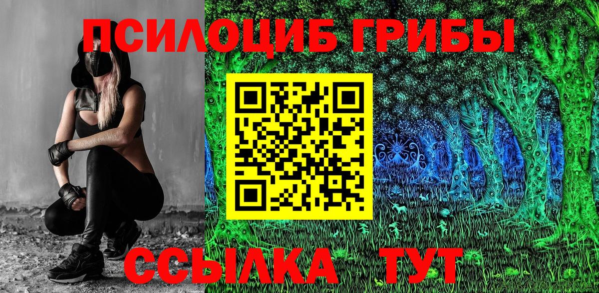 Свободный  Псилоцибиновые грибы MAGIC MUSHROOMS  Вход с VPN 